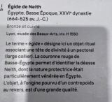 PXL_20221207_103933781