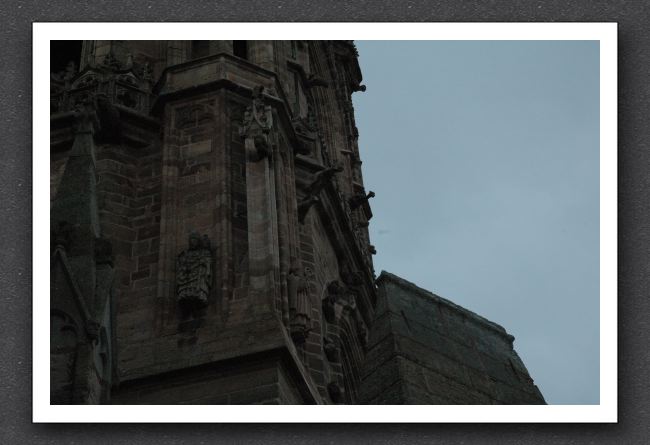 DSC_1798