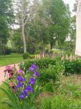 IMG_20190521_174923